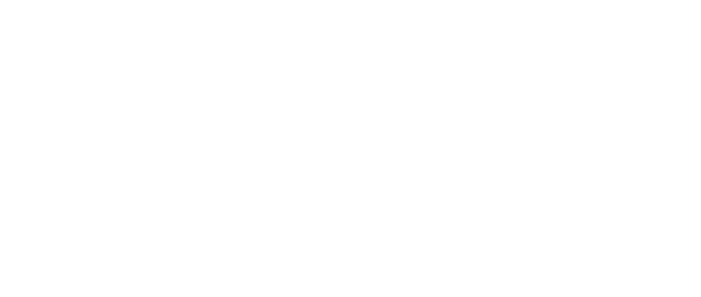 Family Violence Project